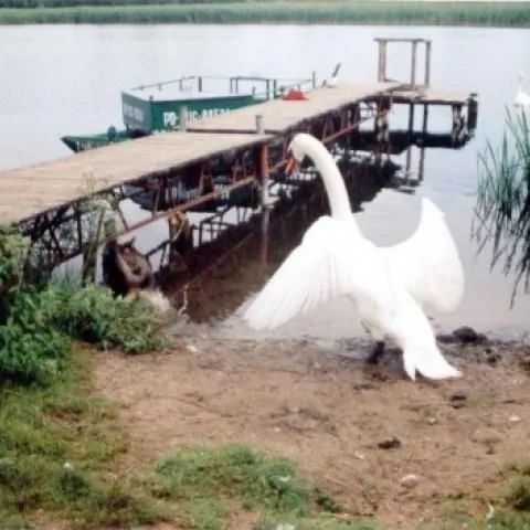 Gospodarstwo Agroturystyczne/ Cimochowizna  Cimochowizna