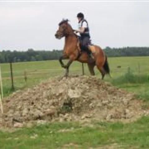 Rancho huculskie Pcim