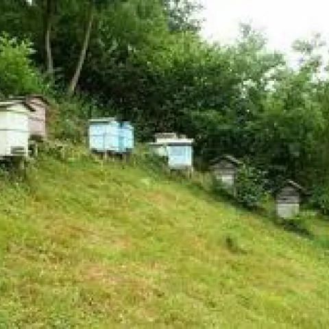 Agroturystyka Za Potokiem Jaworzna