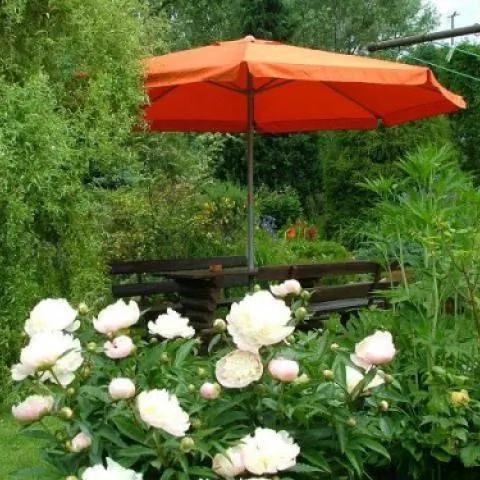 Agroturystyka Zielony Ogród Ścinawka Górna