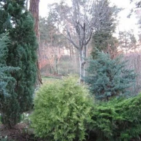 Apartament i Domek Anastazja Jurata