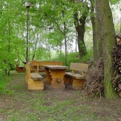 Gościniec Yaga Wilkasy