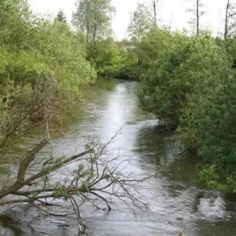 Gospodarstwo agroturystyczne w Rudzie Widawa
