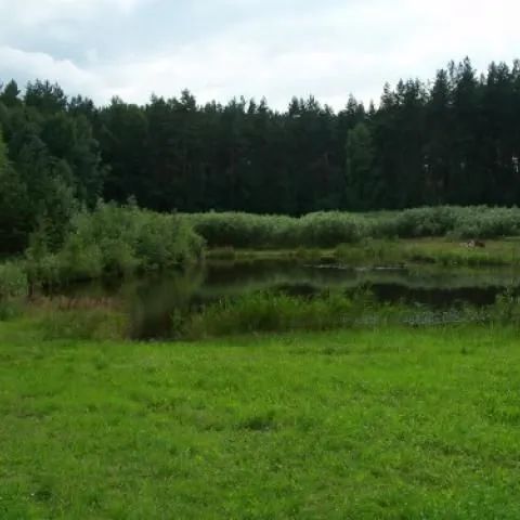 Pensjonat w Olsztynie Olsztyn