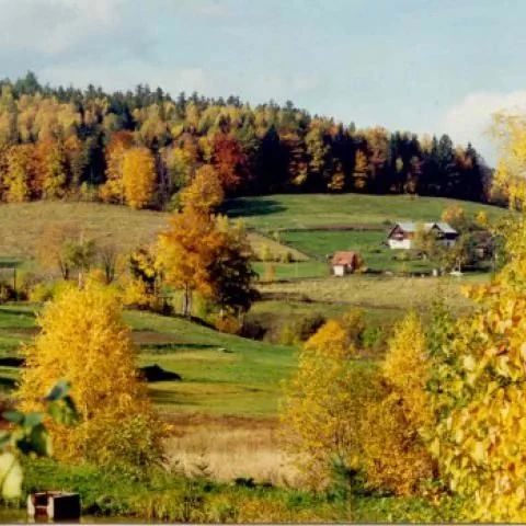 Gospodarstwo Agroturystyczne Sarnak.  Podgórzyn