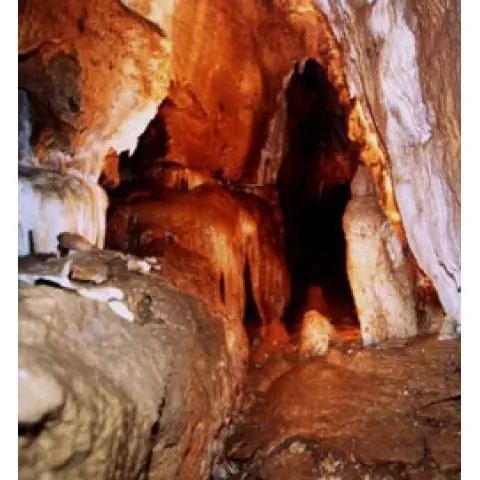 Agroturystyka Maja. Niegowa