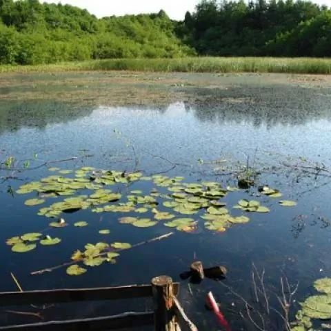 Białogóra - Domki z pokojami do wynajęcia Słuchowo