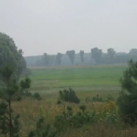 Domek Cyprian Radgoszcz