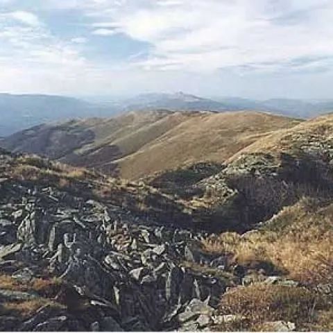 Ośrodek wypoczynkowy Nad Solinką Dołżyca