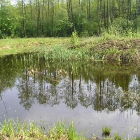 Gospodarstwo Agroturystyczne U Waldka Ostromęczyn