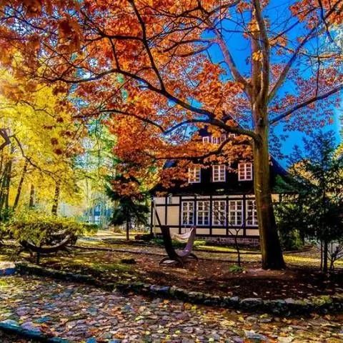 Smolarnia Hotel & Restaurant - Trzcianka