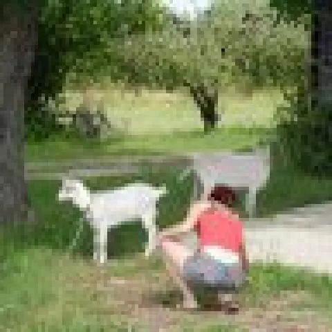 EKOTURYSTYKA W RAJU Sarnaki