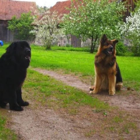 Zaciszna Chatka. Marksewo