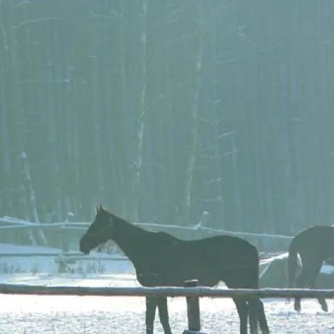 Przystanek Komorze - Łubowo