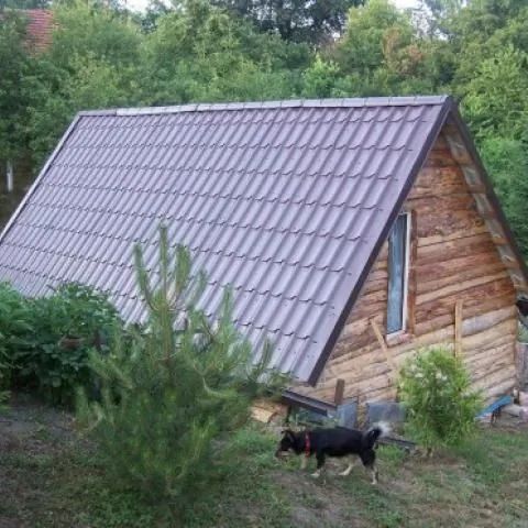 Dziupla u Asi - Ścinawa
