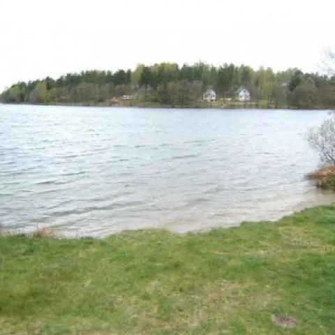 Domek - Porost