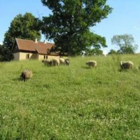 Dom Echa - Błędziszki