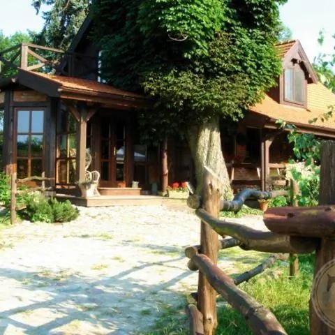 Tamarynowa Osada - Łowyń