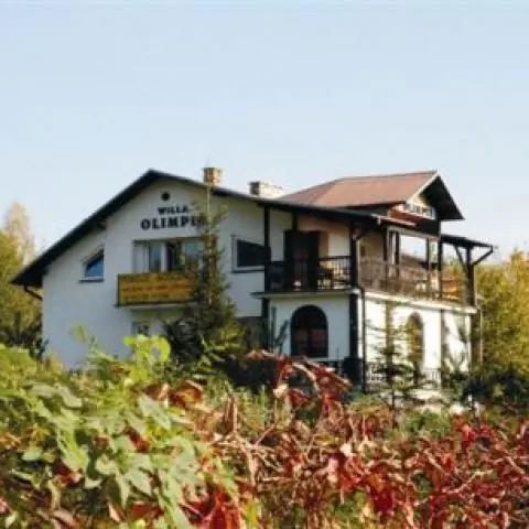 WILLA OLIMPIA  w  CENTRUM Nałęczowa Nałęczów