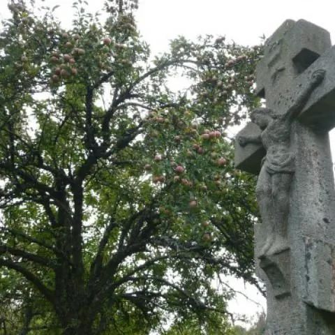 Gospodarstwo Agroturystyczne Mela i Adam  Smerekowiec