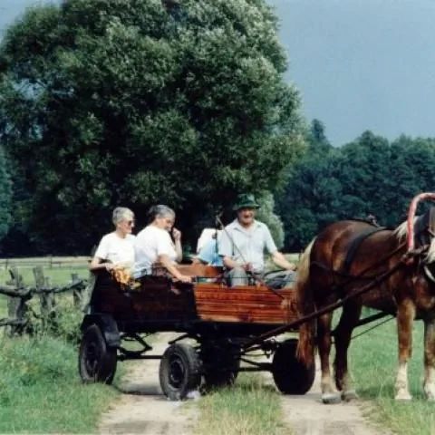 Gospodarstwo Agroturystyczne ŁOZICE Hajnówka