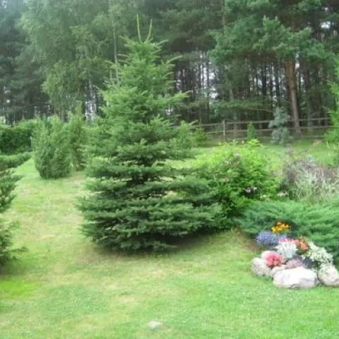 Dom letniskowy - Malechowo