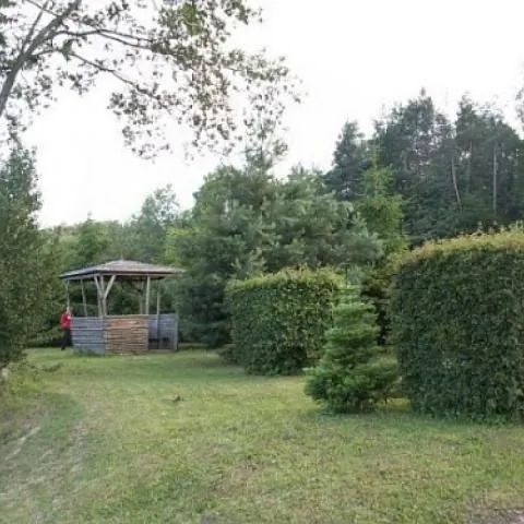 Dylewska Ostoja - Dąbrówno