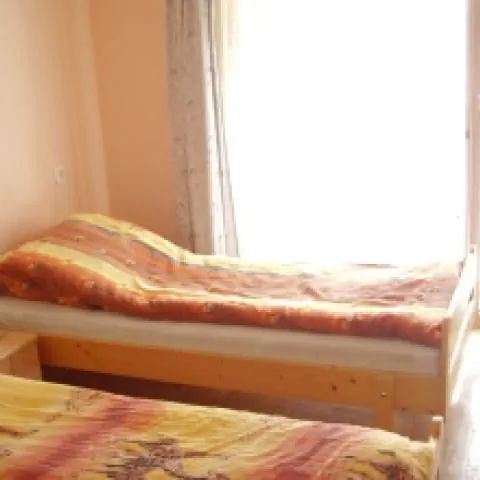 Gospodarstwo Agroturystyczne Violetta - Gołuchów