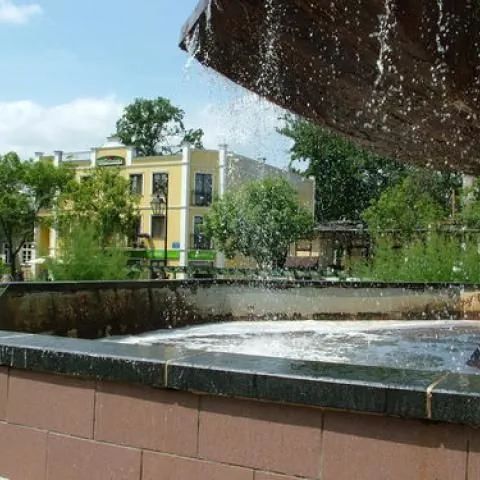 Villa Palinka w Centrum Ciechocinka Ciechocinek