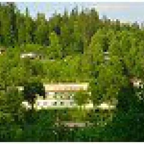 DW JARZĘBATA Wisła