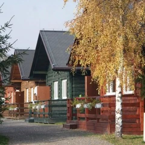 Stanica pod Zadzierną. Paprotki