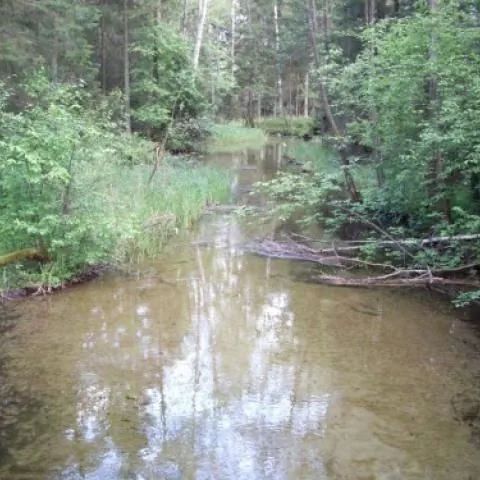 Dom Wypoczynkowy Leśna Polana Augustów