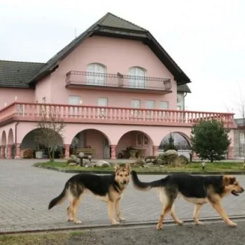 Pensjonat Agroturystyczny Szlachecki Dwór Miastko