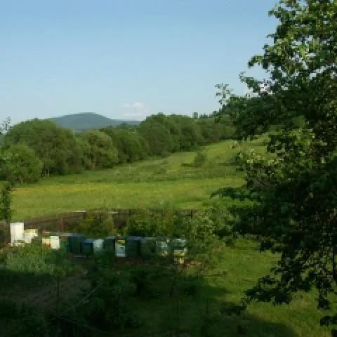 Agroturystyka M.T. - Rycerka Górna