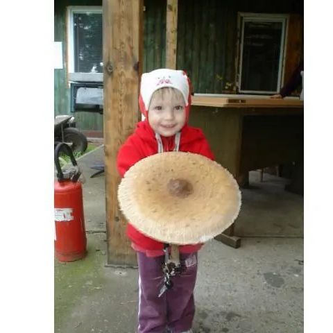 STANICA LEŚNA. Wronczyn