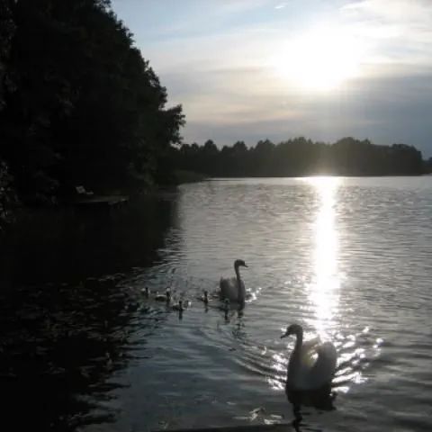 Miłuki - dom letniskowy Miłuki