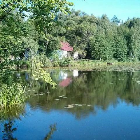 Gospodarstwo Agroturystyczne  Rumian Bajawa Rybno