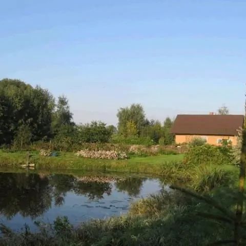 Letnisko nad Dreństwem Bargłów Kościelny