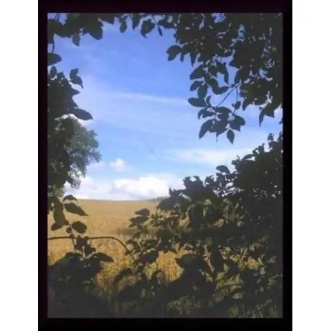 Agroturystyka Pod Lipami Brojce