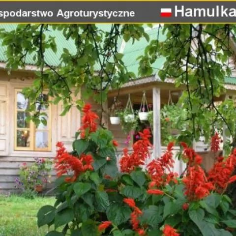 Gospodarstwo Agroturystyczne CHATA ZA WSIĄ Dąbrowa Białostocka