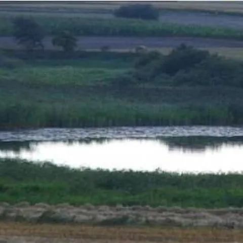 GOSPODARSTWO AGROTURYSTYCZNE TOPOLA Dźwierszno Wielkie