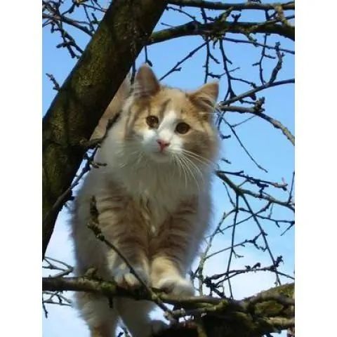 Stajnia MOKRZEC Międzychód