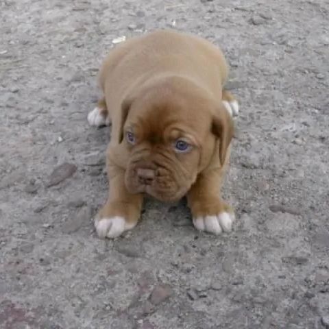 Gospodarstwo Agroturystyczne  ZEMBROŃ Solina