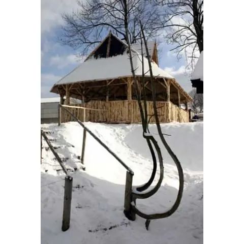 Stadnina Koni RAJD / Noclegi Włodek Szczawnica