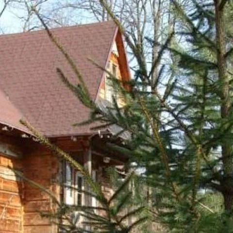 Chata Kasi - Sękowa