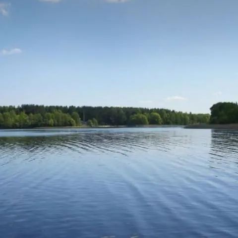 Dom do wynajęcia. Pasym