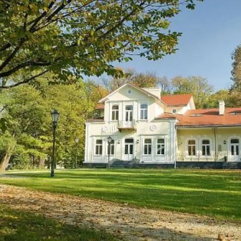 Dwór na Wolicy. Dębica