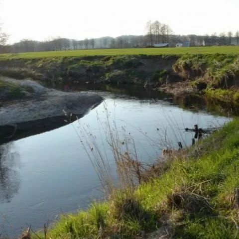 Agrohanka - gospodarstwo agroturystyczne Kniewo