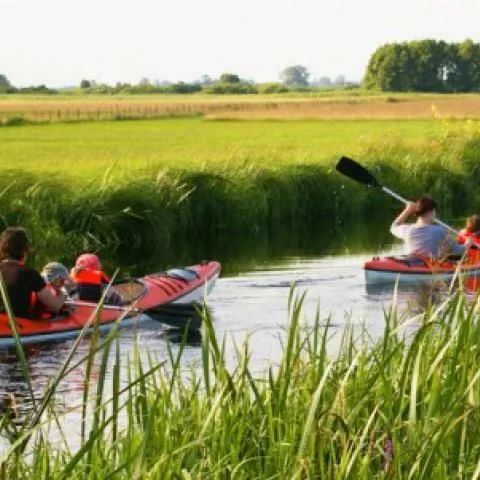 Siedlisko Jagłowo Dzika Biebrza Jagłowo