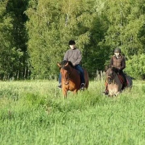 Ranczo-usługi agroturystyczne. Kruszwica